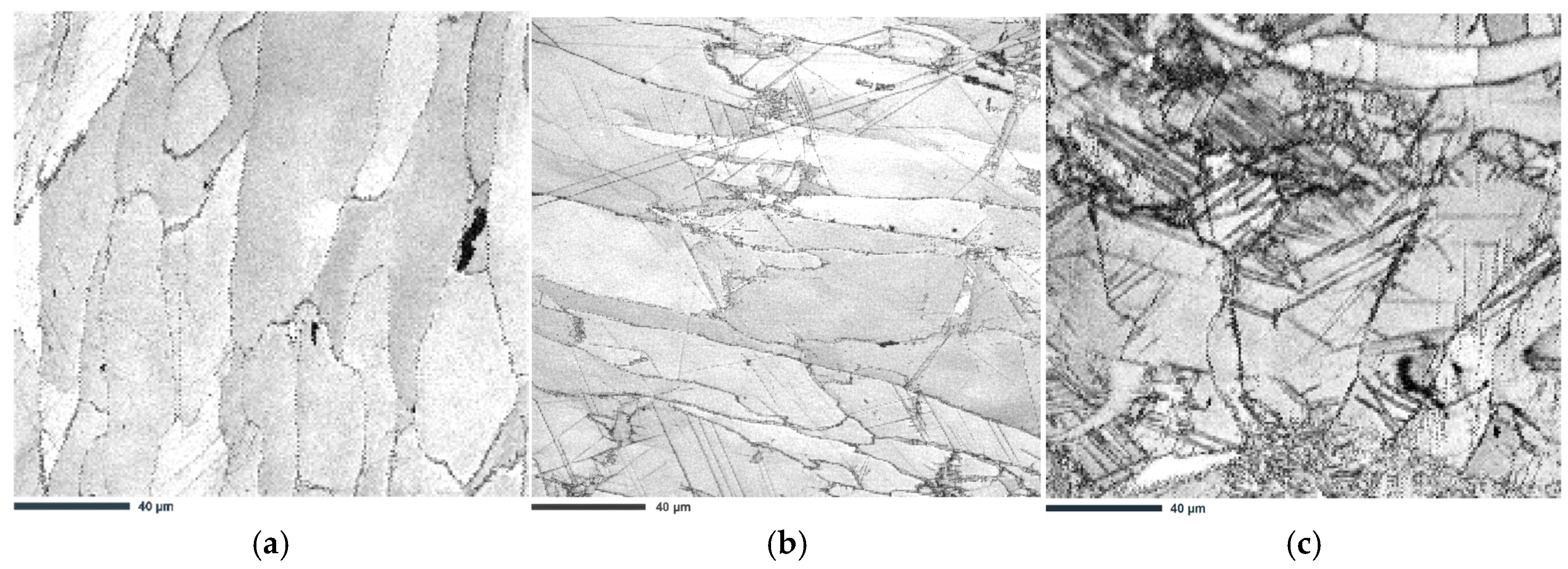 Effect of Ni Addition on the Phase Balance and Grain Boundary Character ...