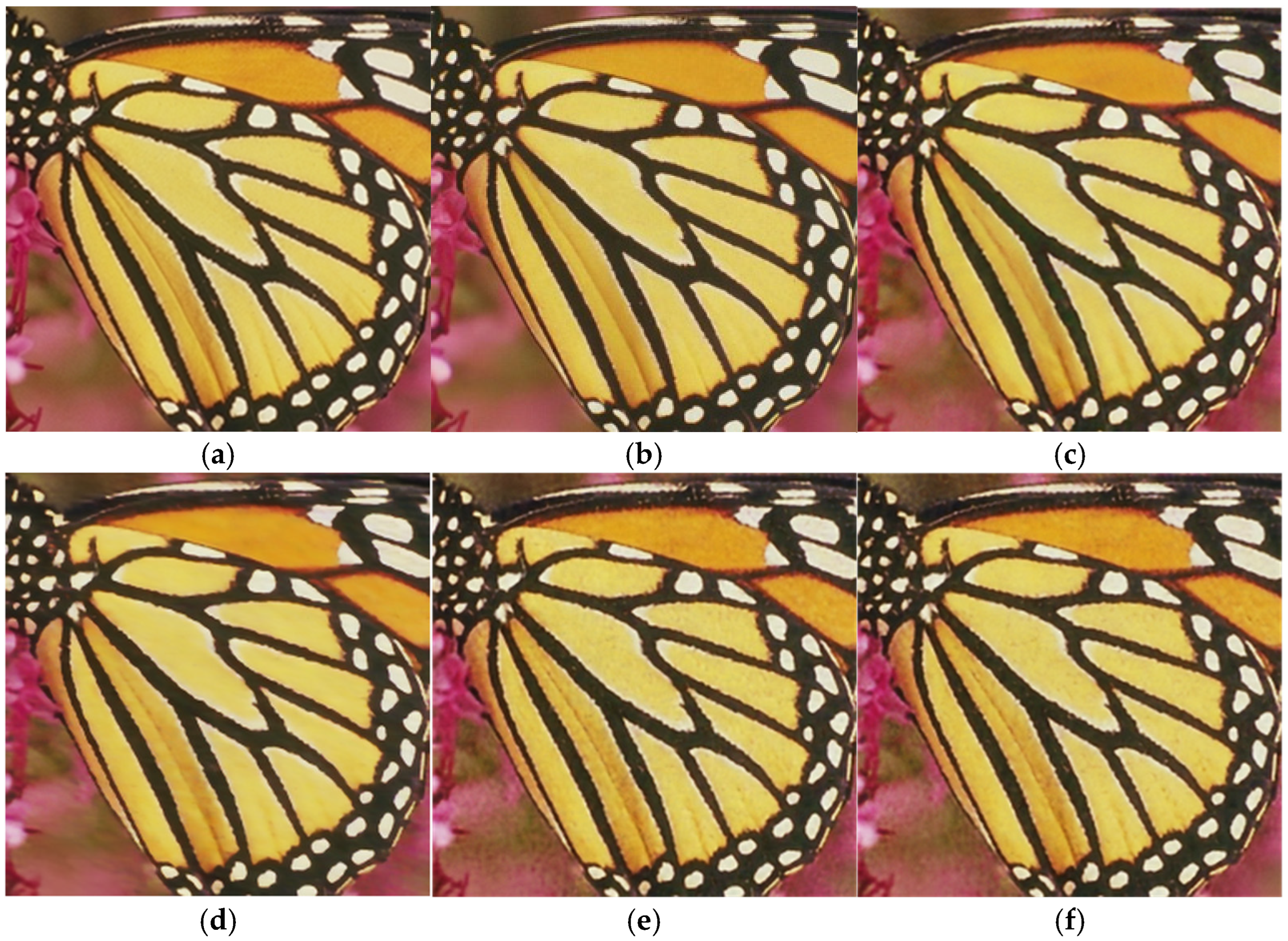 Anisotropic Total Generalized Variation Enhanced Deep Image Prior for ...