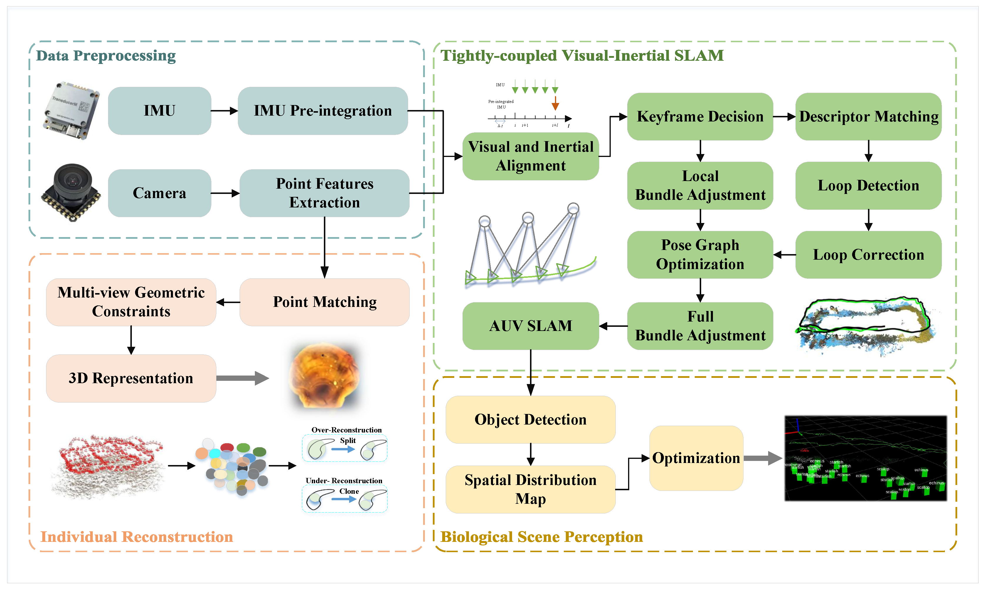 Robust Visual–Inertial SLAM and Biomass Assessment for AUVs in Marine ...