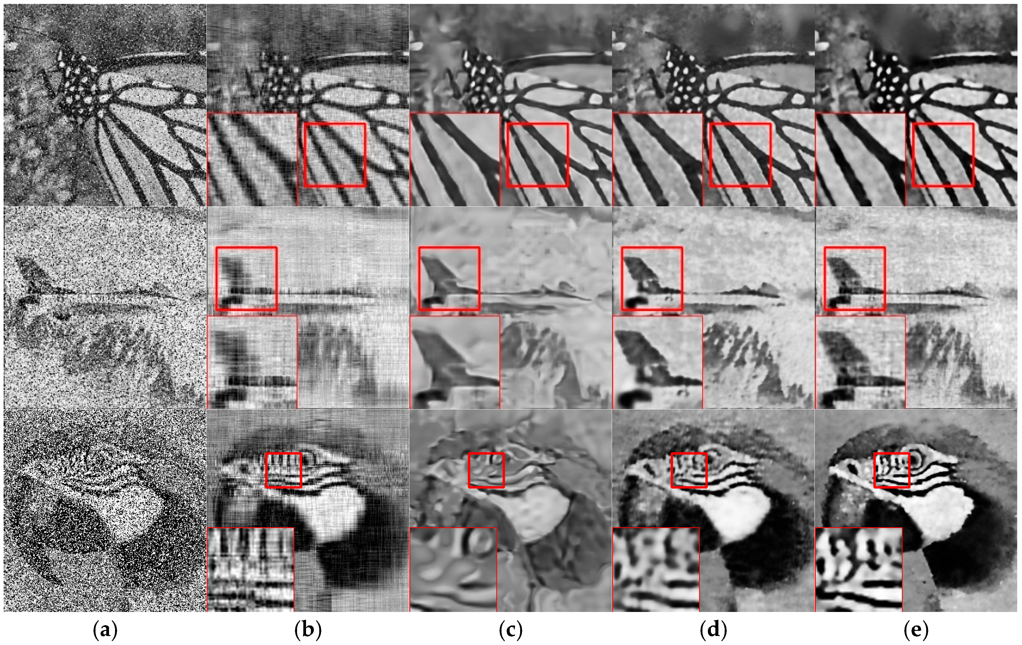 A New Image Denoising Model Based on Low-Rank and Deep Image Prior