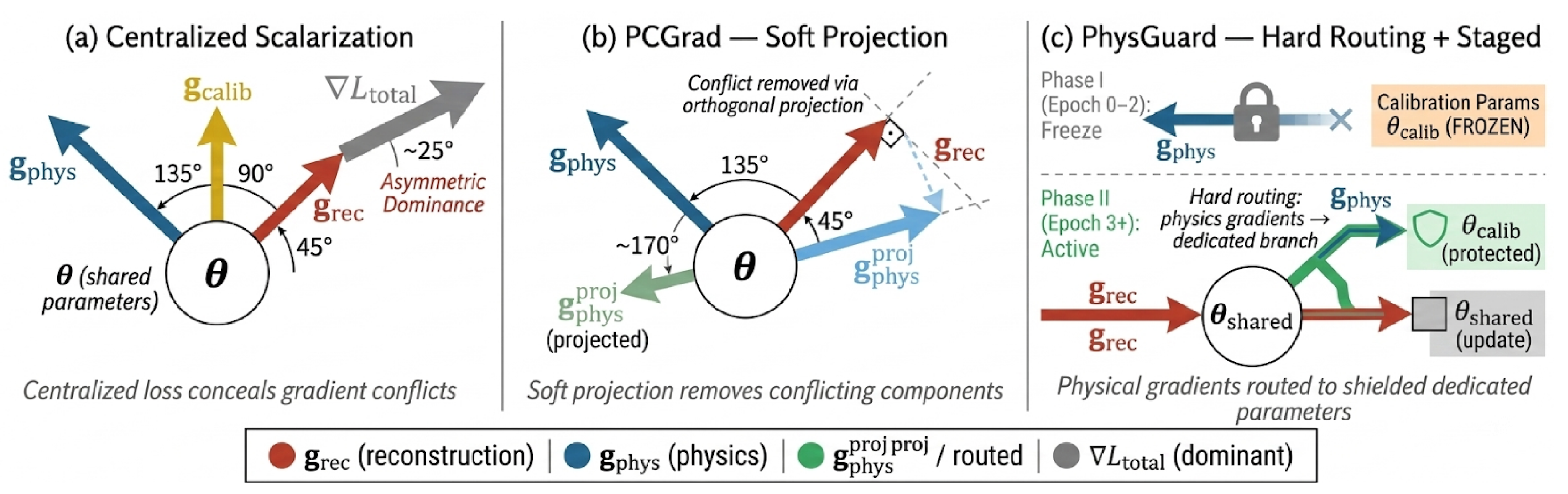 Symmetry-Aware Gradient Coordination for Physics-Guided Non-Line-of ...