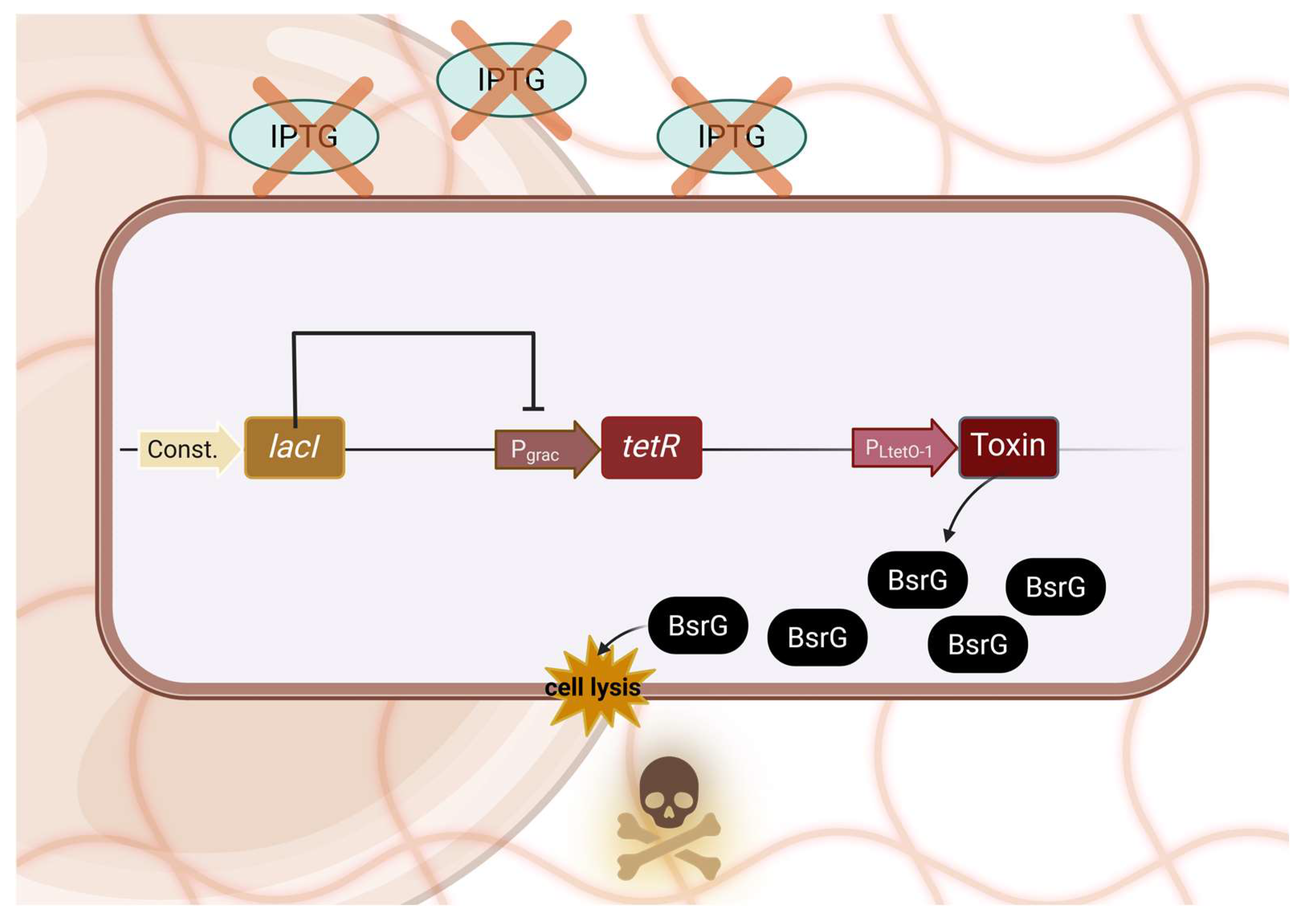 Engineered Microbial Consortium Embedded in a Biodegradable Matrix: A ...