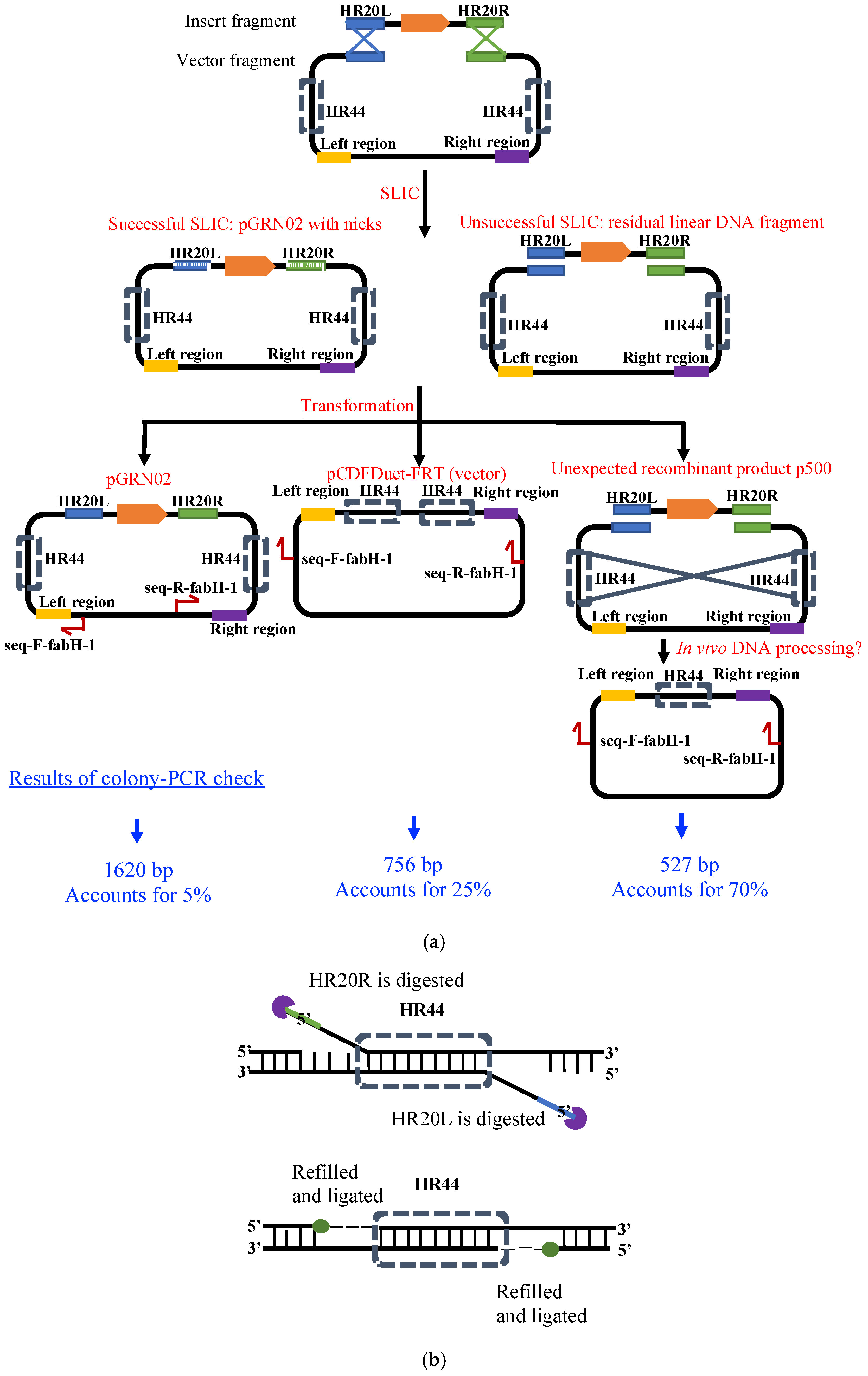 Reflections on DNA Assembly Practice