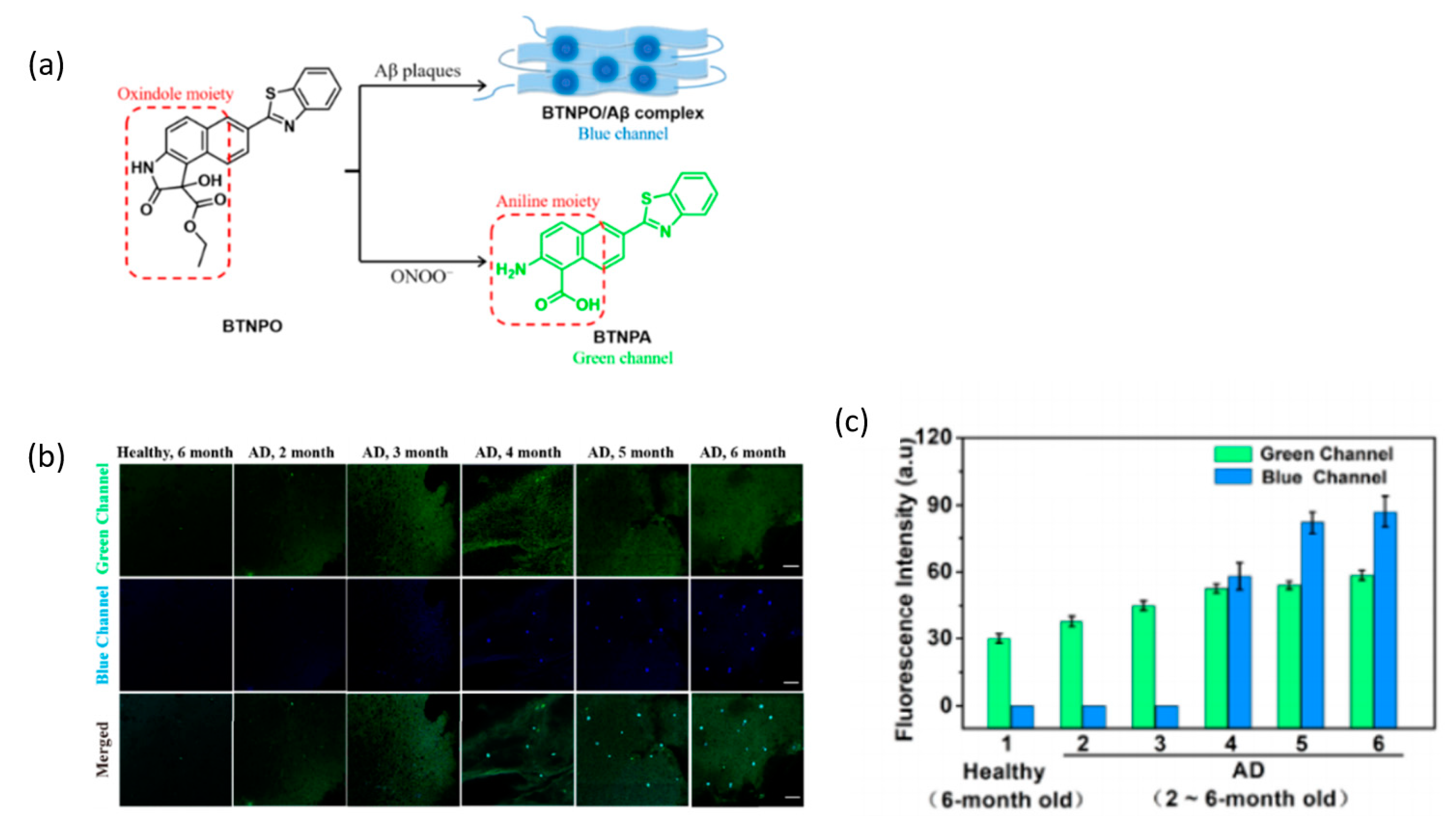 Fluorescent Imaging Agents For Brain Diseases