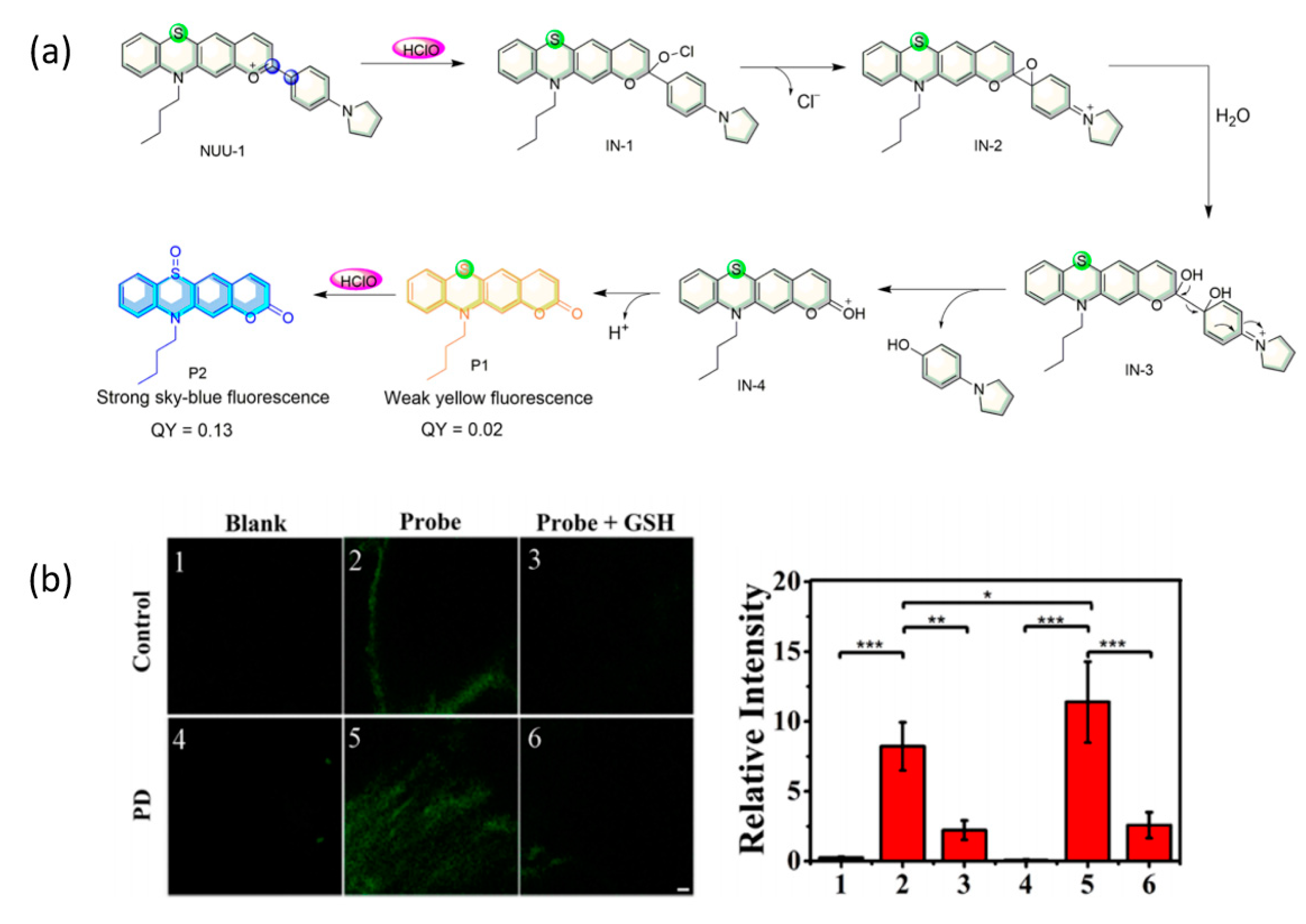 Research Highlight - An Activity-Based Fluorescent Probe for Imaging  Fluctuations of Peroxynitrite (ONOO-) in the Alzheimer's Disease Brain