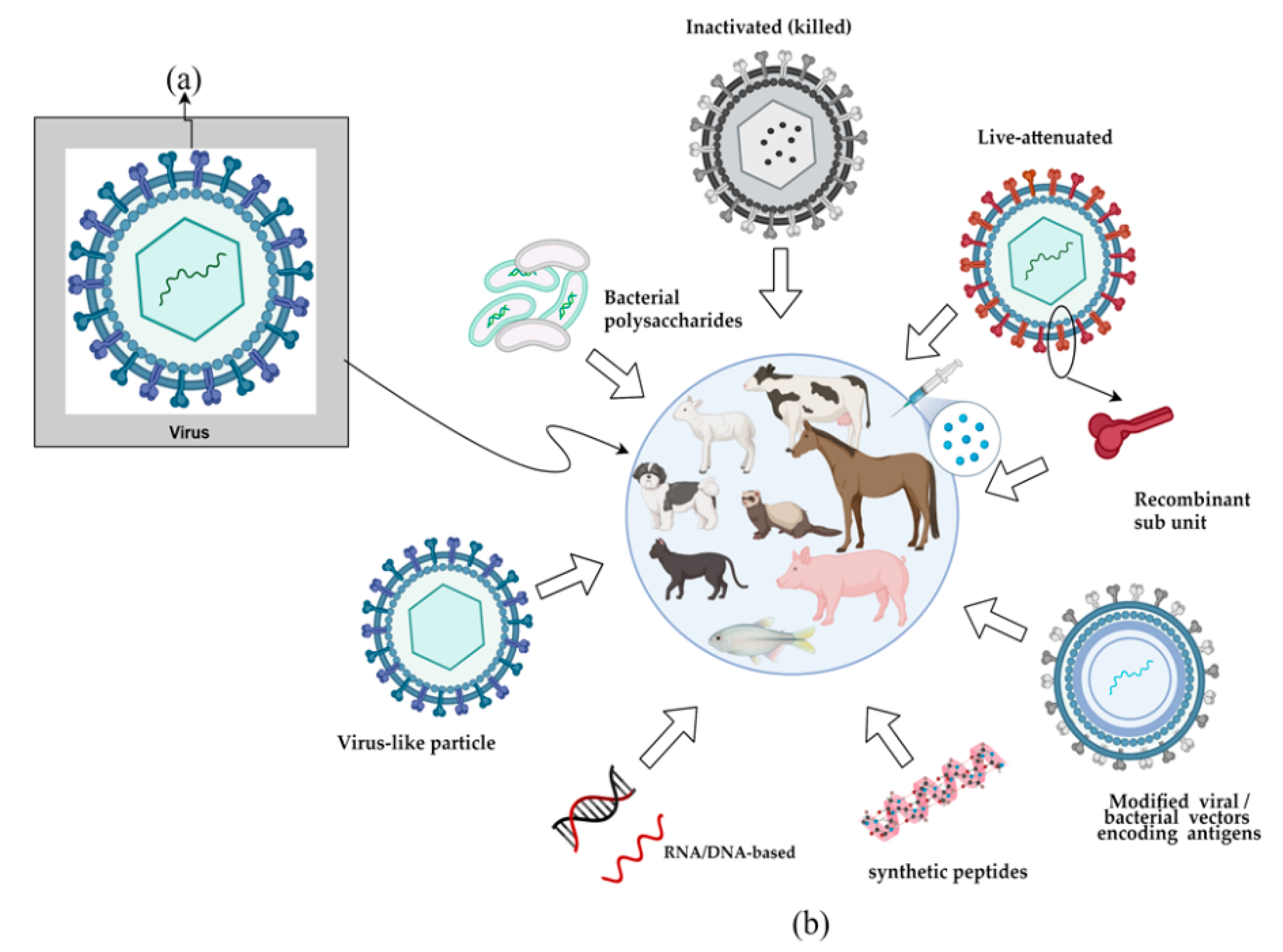 Technologies | Free Full-Text | Production Technologies, Regulatory  Parameters, and Quality Control of Vaccine Vectors for Veterinary Use