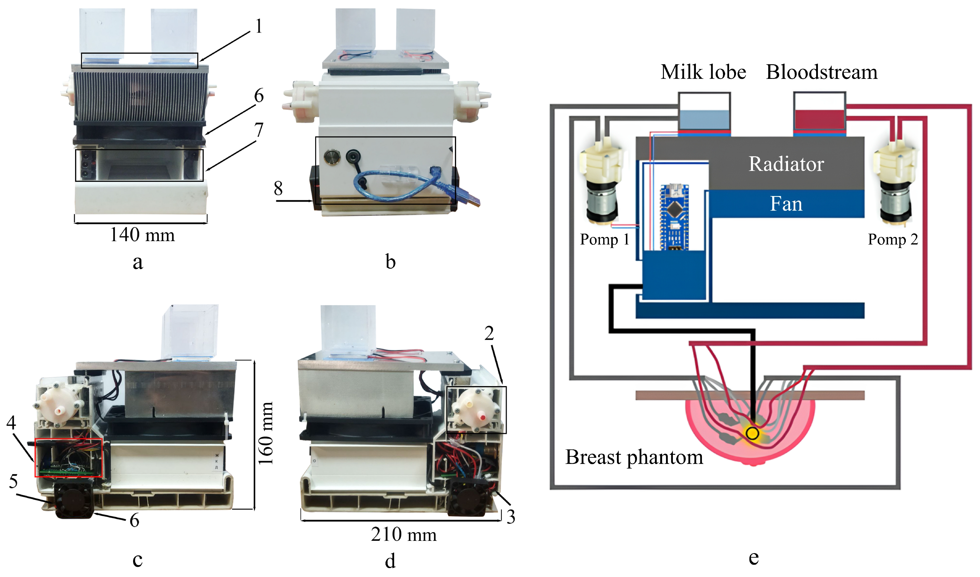 A Realistic Breast Phantom for Investigating the Features of the ...