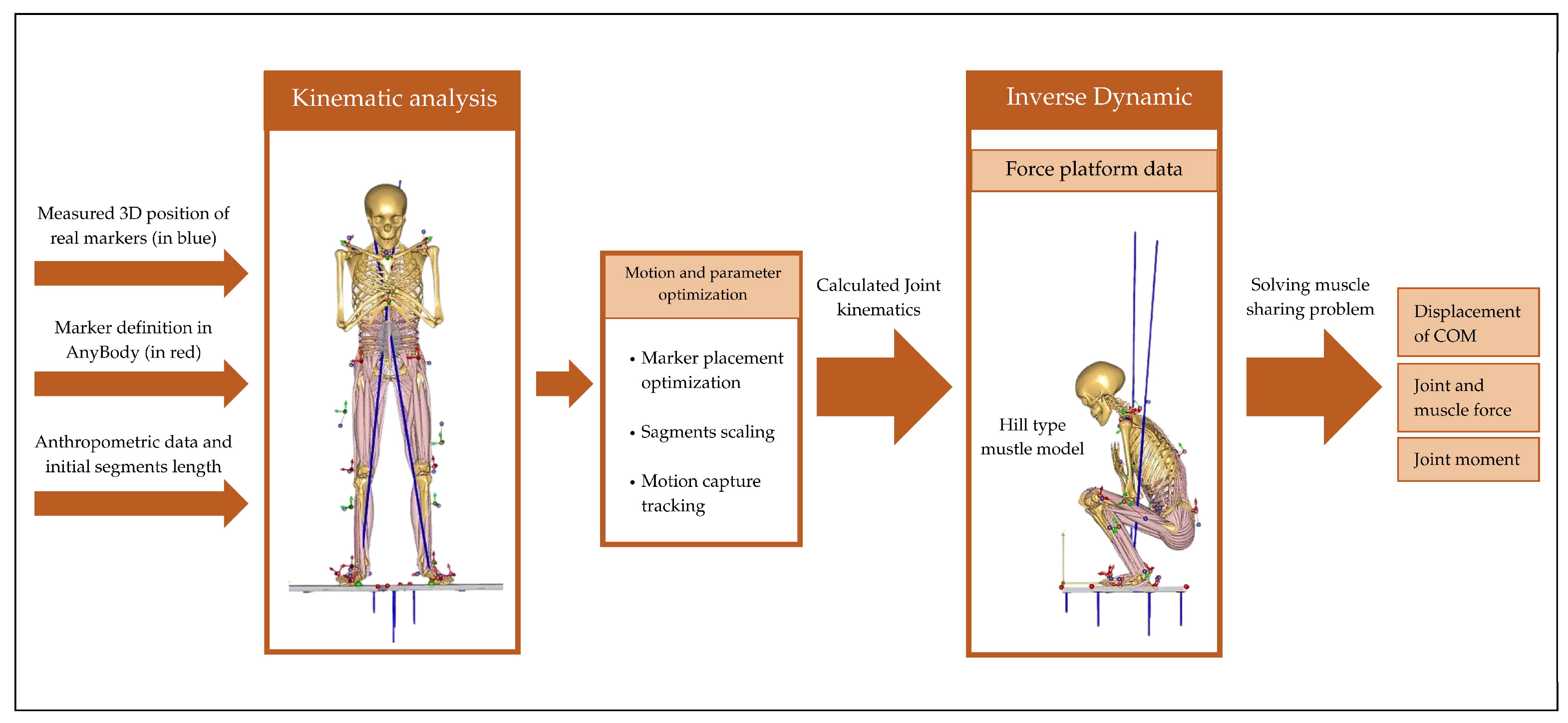 Inverse Dynamics Analysis of Knee Joint Kinetics During Squatting: A ...