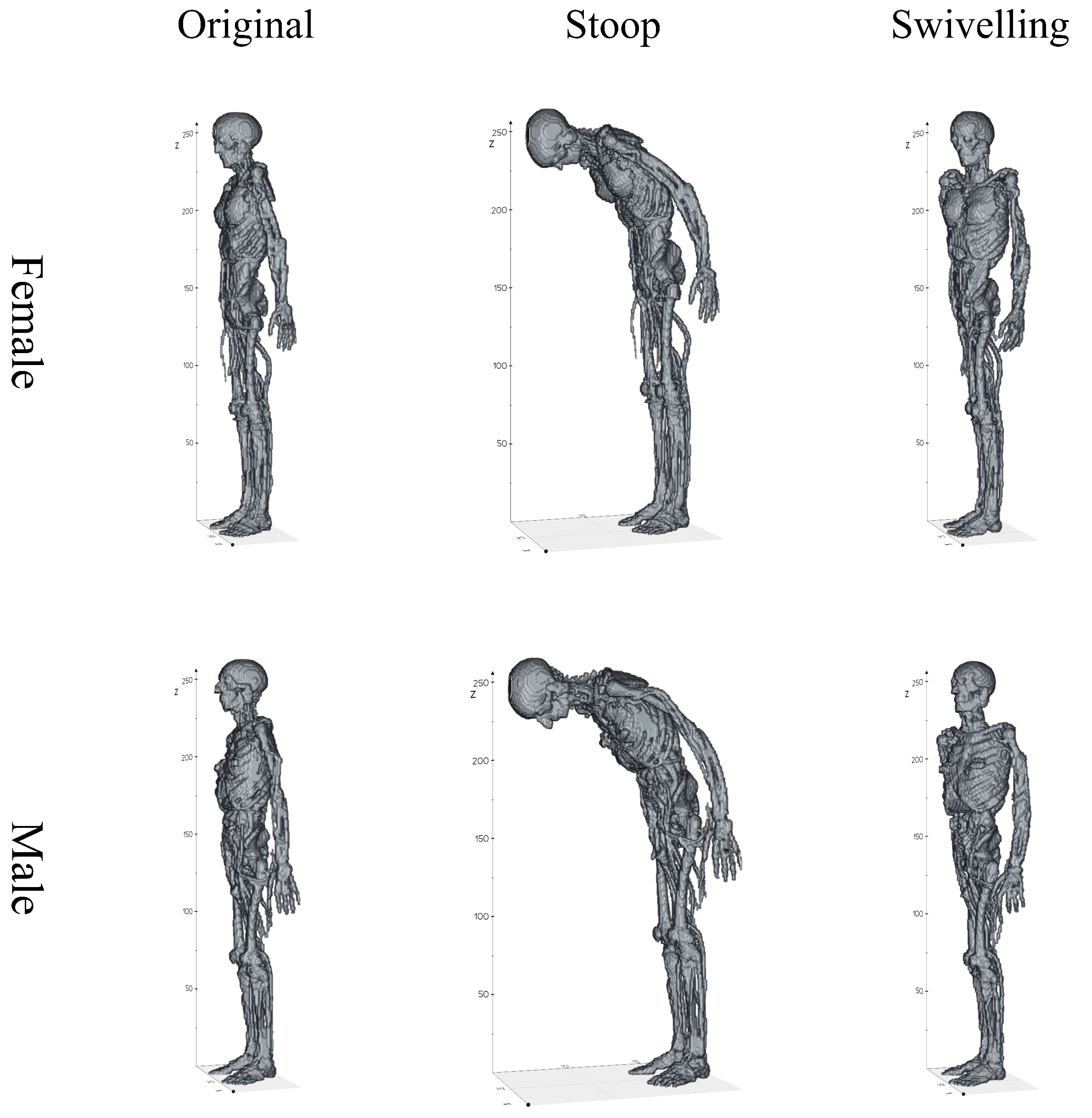 A Sensitivity Study on the Effect of Voxel Human Model Deformation and ...