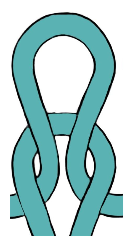 Change of the loop shape of a knit loop under (a) natural state