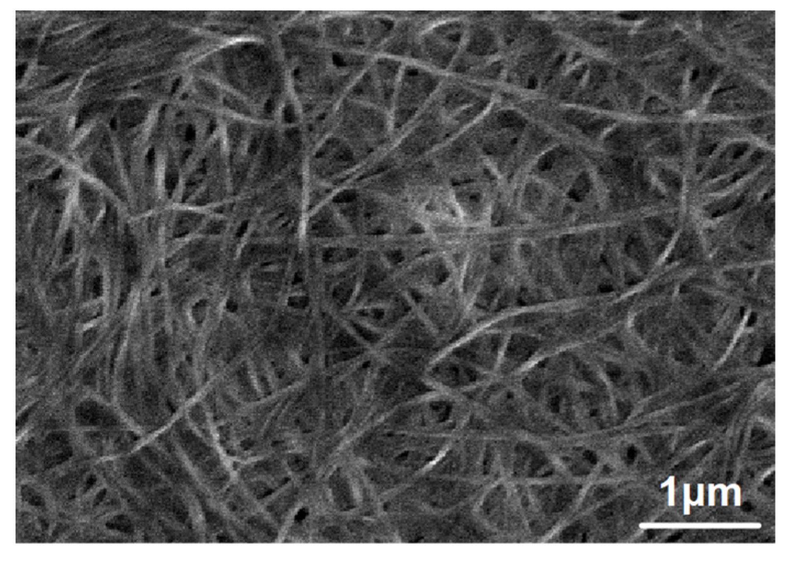 Curated visual reference: Nanocellulose Based Textiles Manufacturing Reference: Preparation And Performance Study Of Bacterial Nanocellulose Yarns