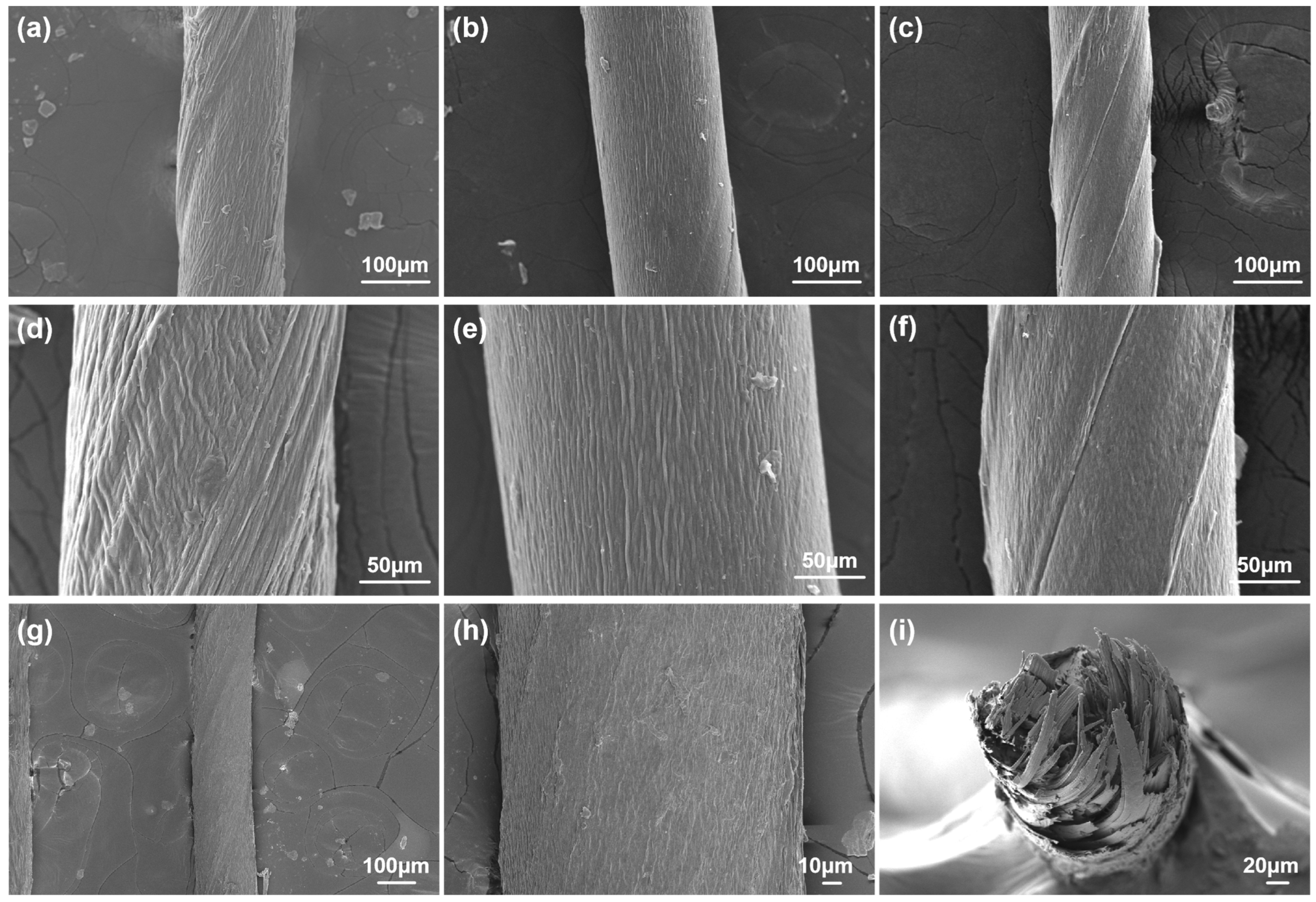 Photo inspiration: Preparation And Performance Study Of Bacterial Nanocellulose Yarns Photo Inspiration