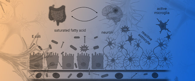 The Role of Dietary Lipids in Cognitive Health: Implications for Neurodegenerative Disease