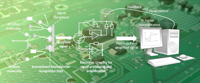 Biosensors: Electrochemical Devices&mdash;General Concepts and Performance