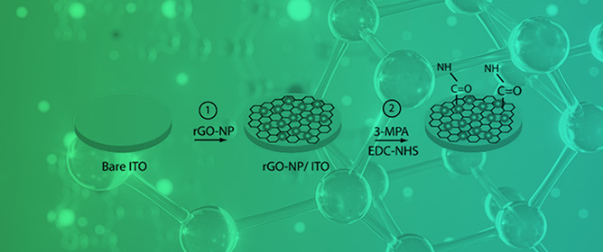 Recent Trends in Metal Nanoparticles Decorated 2D Materials for Electrochemical Biomarker Detection