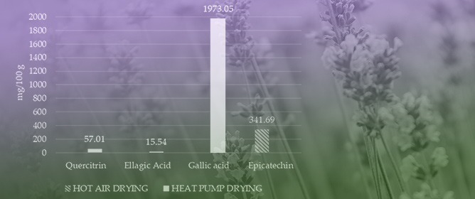 Heat Pump Dried Lavender Flowers for Bioactive Decoctions