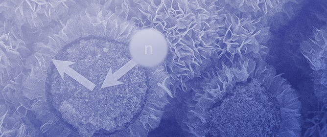 New Material Exploration to Enhance Neutron Intensity below Cold Neutrons: Nanosized Graphene Flower Aggregation