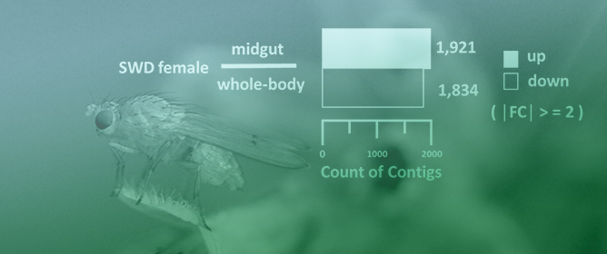 Selection and Comparative Gene Expression of Midgut-Specific Targets for <em>Drosophila suzukii</em>