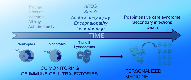 Monitoring of the Forgotten Immune System during Critical Illness&mdash;A Narrative Review