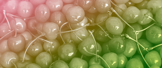 Shelf Life Extension and Nutritional Quality Preservation of Sour Cherries through High Pressure Processing