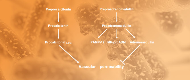 microbiology research papers pdf free download Procalcitonin and Adrenomedullin in Infectious Diseases