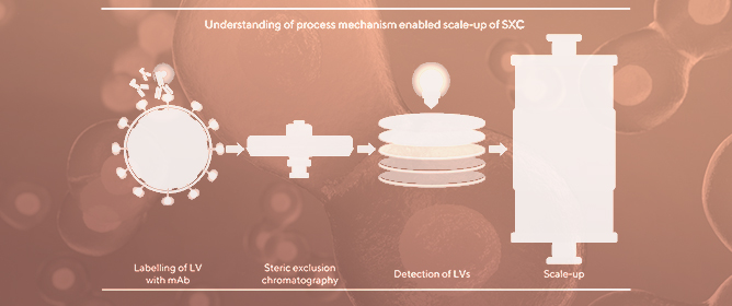 Scaling Up of Steric Exclusion Membrane Chromatography for Lentiviral Vector Purification