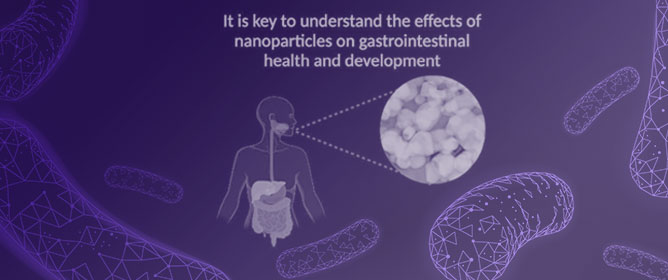 Food-Grade Metal Oxide Nanoparticles Exposure Alters Intestinal Microbial Populations, Brush Border Membrane Functionality and Morphology, In Vivo (<em>Gallus gallus</em>)