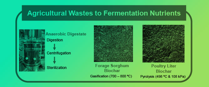 From Agricultural Wastes to Fermentation Nutrients: A Case Study of 2,3-Butanediol Production