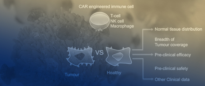 CAR-Based Immunotherapy of Solid Tumours&mdash;A Survey of the Emerging Targets