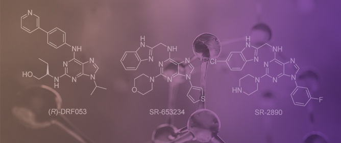 &ldquo;Dual Anta-Inhibitors&rdquo; of the A<sub>2A</sub> Adenosine Receptor and Casein Kinase CK1delta: Synthesis, Biological Evaluation, and Molecular Modeling Studies