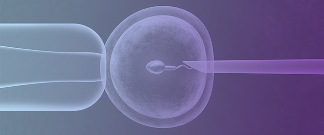 Prolactin Relationship with Fertility and In Vitro Fertilization Outcomes&mdash;A Review of the Literature