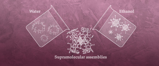 Supramolecular Host&ndash;Guest Assemblies of [M<sub>6</sub>Cl<sub>14</sub>]<sup>2&ndash;</sup>, M = Mo, W, Clusters with &gamma;-Cyclodextrin for the Development of CLUSPOMs