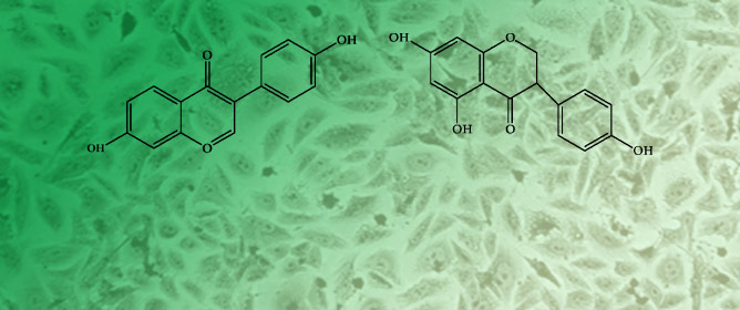 Cytotoxic Activity and Phytochemical Screening of Eco-Friendly Extracted Flavonoids from <em>Pueraria montana</em> var. <em>lobata</em> (Willd.) Sanjappa &amp; Pradeep and <em>Trifolium pratense</em> L. Flowers Using HPLC-DAD-MS/HRMS