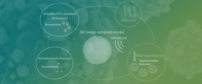 Tumor Spheroids as Model to Design Acoustically Mediated Drug Therapies: A Review