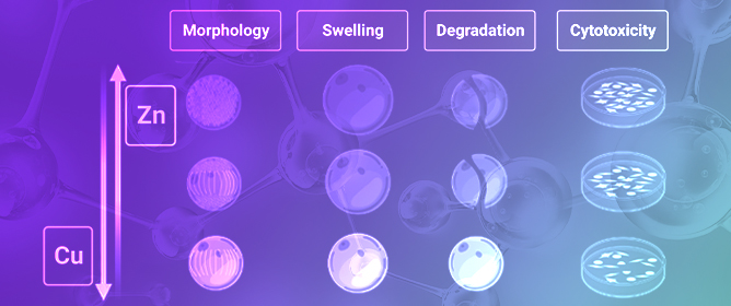 Preparation and Properties of Bimetallic-Chitosan Spherical Microgels


