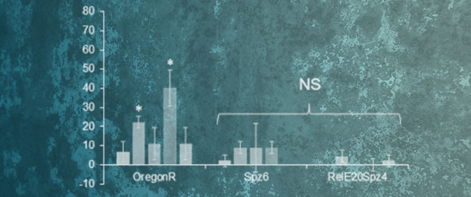 Mutational Analysis of <em>Aspergillus fumigatus</em> Volatile Oxylipins in a <em>Drosophila</em> Eclosion Assay