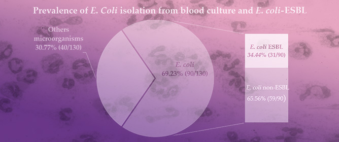 Prevalence of <em>Escherichia coli</em> Producing Extended Spectrum Beta-Lactamase (ESBL) Driven Septicaemia in Children Aged 0&ndash;2 Years in Two Districts Hospitals in Yaounde, Cameroon