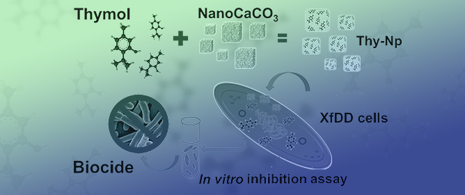 Thymol-Nanoparticles as Effective Biocides against the Quarantine Pathogen <em>Xylella fastidiosa</em>