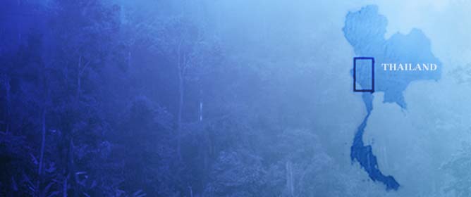 A Camera-Trap Survey of Mammals in Thung Yai Naresuan (East) Wildlife Sanctuary in Western Thailand