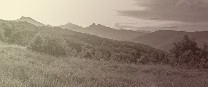 Open Habitats under Threat in Mountainous, Mediterranean Landscapes: Land Abandonment Consequences in the Vegetation Cover of the Thessalian Part of Mt Agrafa (Central Greece)