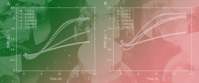 From Microplates to Bioreactors: Bioethanol Production from Ice Cream Industry By-Products