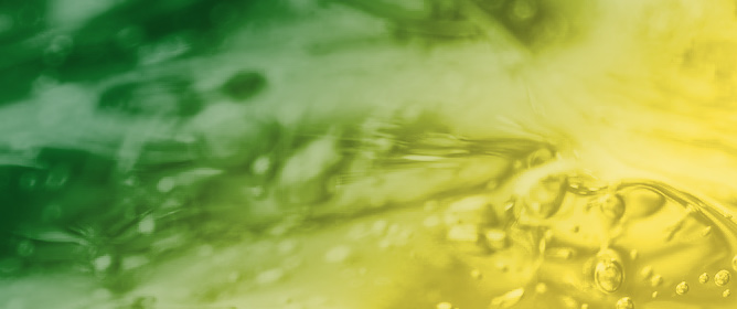 Upgrading Major Waste Streams Derived from the Biodiesel Industry and Olive Mills via Microbial Bioprocessing with Non-Conventional <em>Yarrowia lipolytica</em> Strains