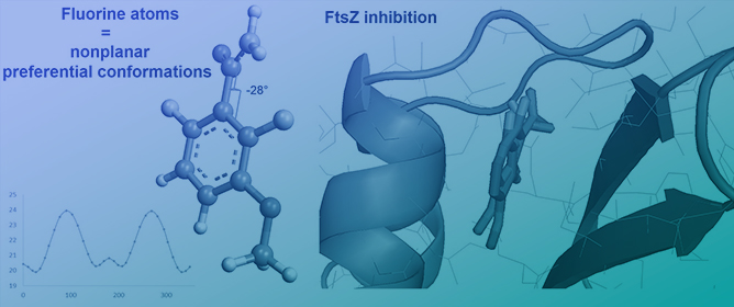 Importance of the 2,6-Difluorobenzamide Motif for FtsZ Inhibition: Conformational Analysis &amp; Molecular Docking