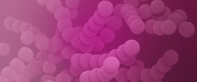 Electrostatic Adsorption of Dense AuNPs onto Silica Core as High-Performance SERS Tag for Sensitive Immunochromatographic Detection of <em>Streptococcus pneumoniae</em>