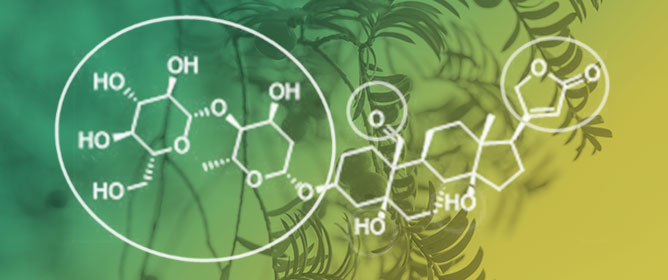 Phytochemical Screening and Antibacterial Activity of <em>Taxus baccata</em> L. against <em>Pectobacterium</em> spp. and <em>Dickeya chrysanthemi</em>