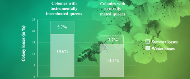 Observation of Genetic Gain with Instrumental Insemination of Honeybee Queens