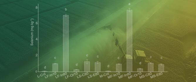 Selenium Speciation in Se-Enriched Soybean Grains from Biofortified Plants Grown under Different Methods of Selenium Application