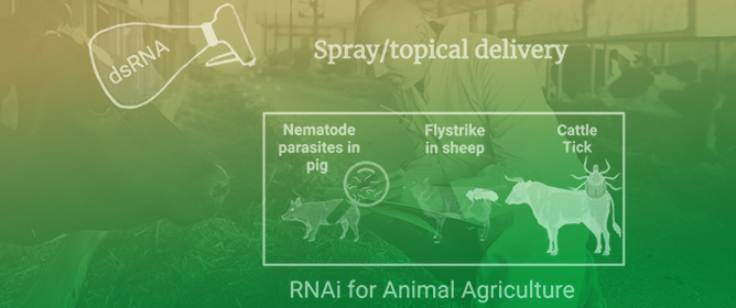 RNAi-Based Biocontrol of Pests to Improve the Productivity and Welfare of Livestock Production