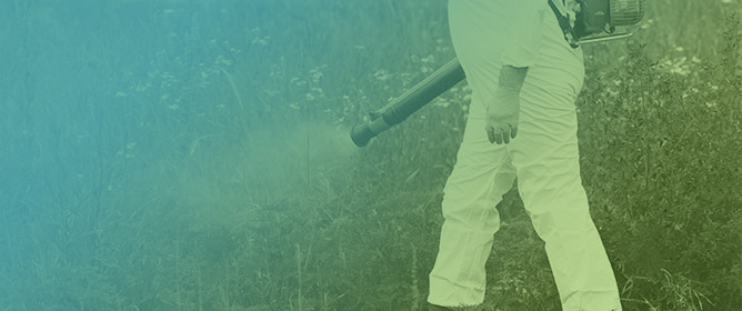 Synthesis of Aminophenoxazinones and Evaluation of Their Phytotoxicity in the Search for New Natural Herbicides