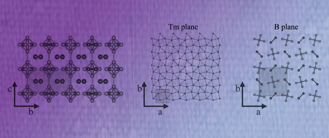 Detection of Surface States in Quantum Materials ZrTe<sub>2</sub> and TmB<sub>4</sub> by Scanning Tunneling Microscopy